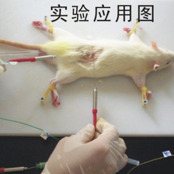 超微型插入式溫度探頭